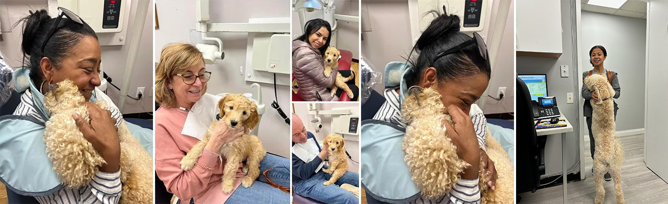 Dental Village Associates, PC | Dental Bridges, Dental Cleanings and Implant Dentistry