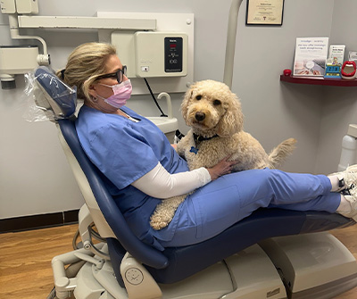 Dental Village Associates, PC | Dental Bridges, Teeth Whitening and Implant Restorations