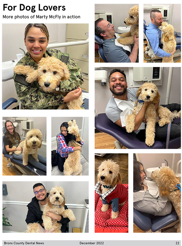 Dental Village Associates, PC | Preventative Program, Implant Dentistry and Teeth Whitening